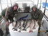 (04/08/2018) - Nice Striped Bass